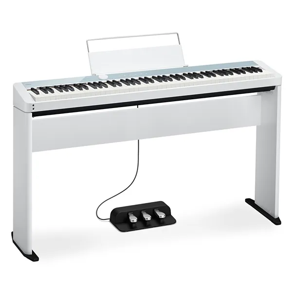 Music City – Tổng Kho Piano, Guitar, Organ | Dịch Vụ Giáo Dục Âm Nhạc