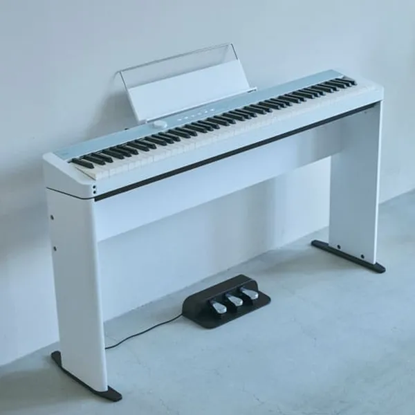 Music City – Tổng Kho Piano, Guitar, Organ | Dịch Vụ Giáo Dục Âm Nhạc