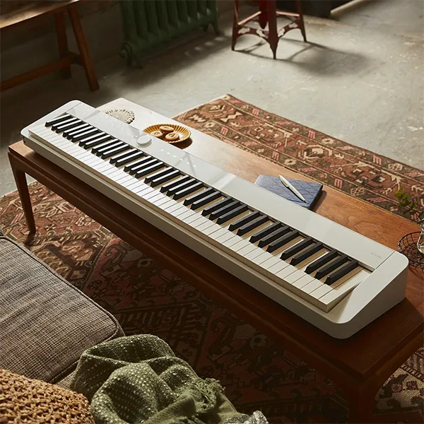 Music City – Tổng Kho Piano, Guitar, Organ | Dịch Vụ Giáo Dục Âm Nhạc