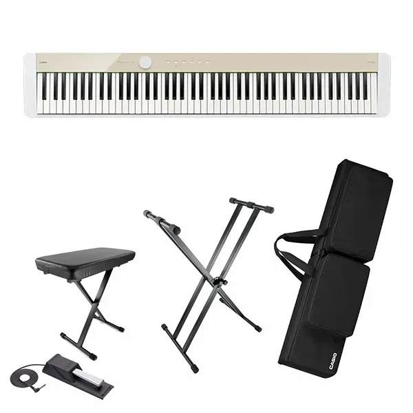Music City – Tổng Kho Piano, Guitar, Organ | Dịch Vụ Giáo Dục Âm Nhạc
