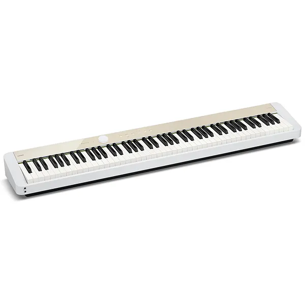 Music City – Tổng Kho Piano, Guitar, Organ | Dịch Vụ Giáo Dục Âm Nhạc