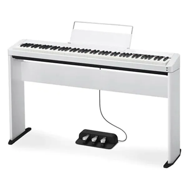 Music City – Tổng Kho Piano, Guitar, Organ | Dịch Vụ Giáo Dục Âm Nhạc