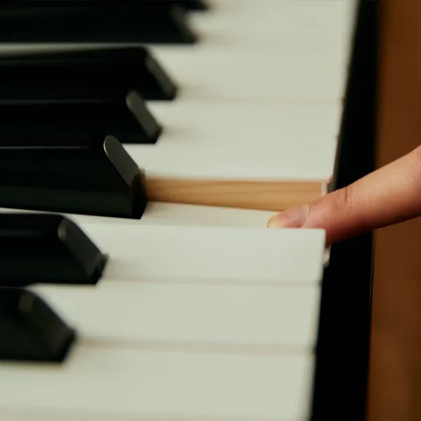 Music City – Tổng Kho Piano, Guitar, Organ | Dịch Vụ Giáo Dục Âm Nhạc