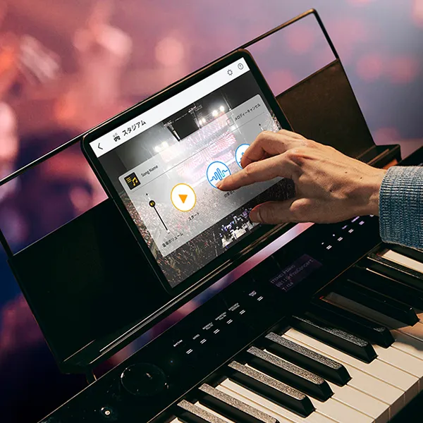Music City – Tổng Kho Piano, Guitar, Organ | Dịch Vụ Giáo Dục Âm Nhạc