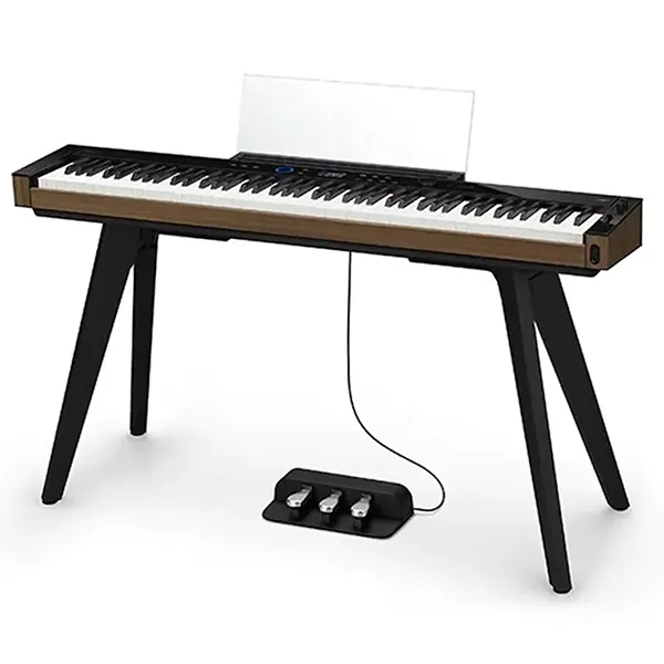 Music City – Tổng Kho Piano, Guitar, Organ | Dịch Vụ Giáo Dục Âm Nhạc