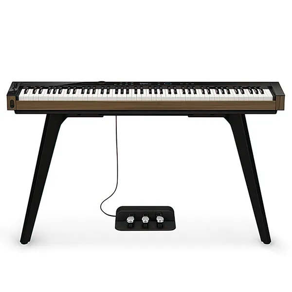 Music City – Tổng Kho Piano, Guitar, Organ | Dịch Vụ Giáo Dục Âm Nhạc