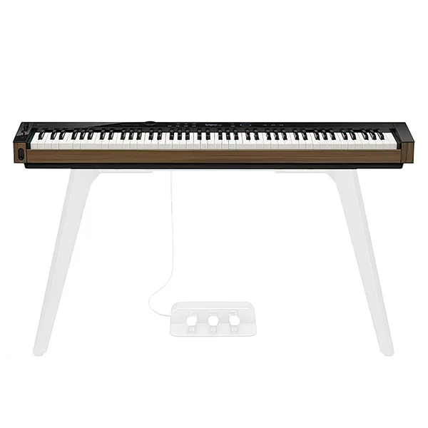 Music City – Tổng Kho Piano, Guitar, Organ | Dịch Vụ Giáo Dục Âm Nhạc