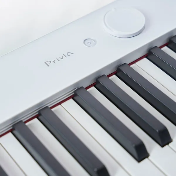 Music City – Tổng Kho Piano, Guitar, Organ | Dịch Vụ Giáo Dục Âm Nhạc