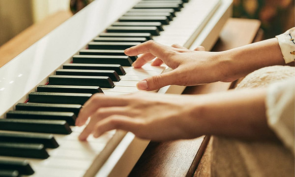Music City – Tổng Kho Piano, Guitar, Organ | Dịch Vụ Giáo Dục Âm Nhạc