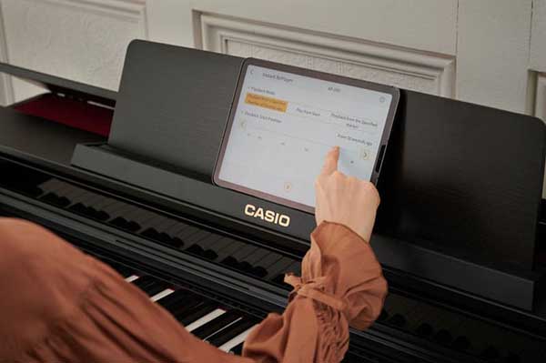 Music City – Tổng Kho Piano, Guitar, Organ | Dịch Vụ Giáo Dục Âm Nhạc