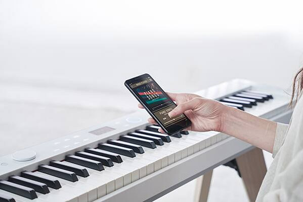 Music City – Tổng Kho Piano, Guitar, Organ | Dịch Vụ Giáo Dục Âm Nhạc