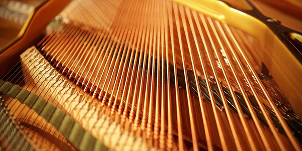 Music City – Tổng Kho Piano, Guitar, Organ | Dịch Vụ Giáo Dục Âm Nhạc