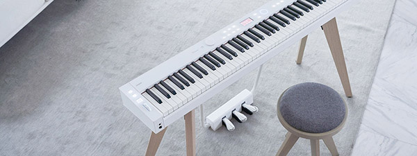 Music City – Tổng Kho Piano, Guitar, Organ | Dịch Vụ Giáo Dục Âm Nhạc
