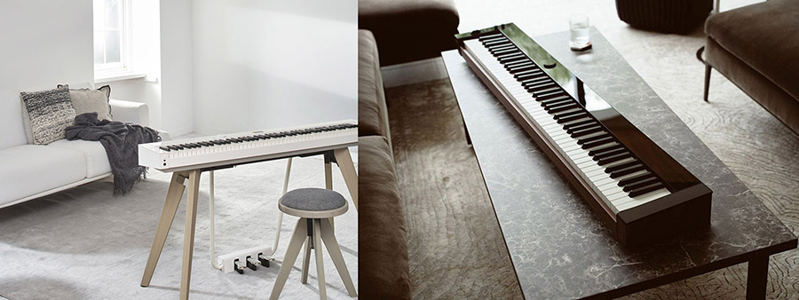Music City – Tổng Kho Piano, Guitar, Organ | Dịch Vụ Giáo Dục Âm Nhạc