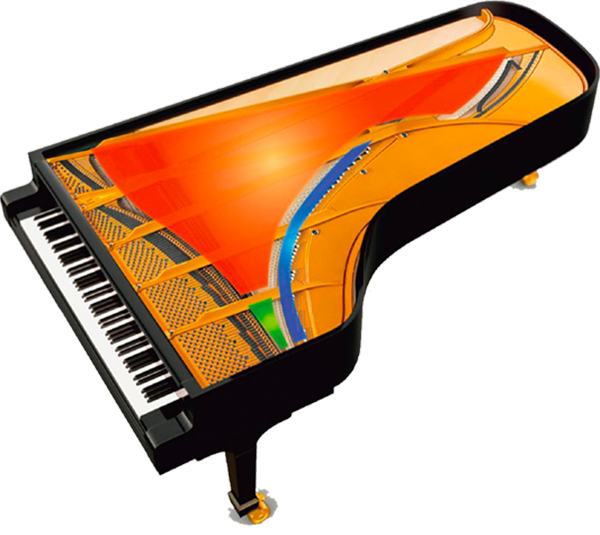 Music City – Tổng Kho Piano, Guitar, Organ | Dịch Vụ Giáo Dục Âm Nhạc