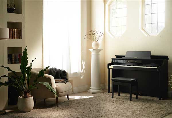 Music City – Tổng Kho Piano, Guitar, Organ | Dịch Vụ Giáo Dục Âm Nhạc