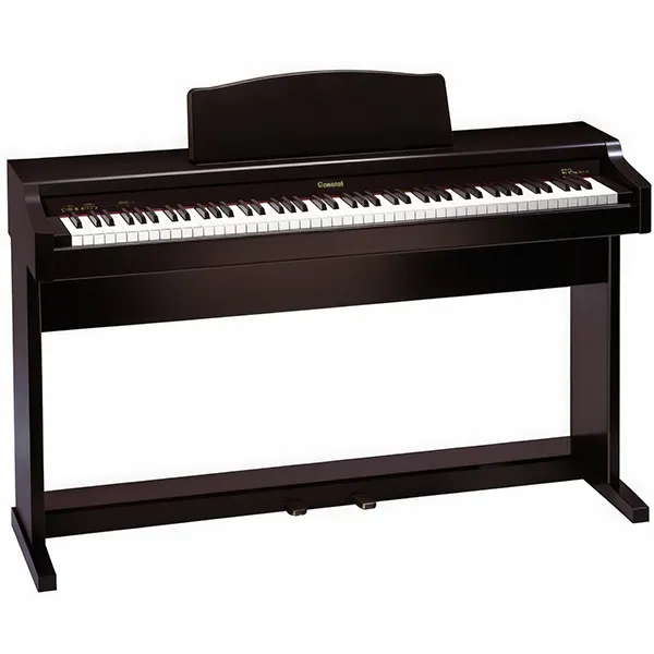 Music City – Tổng Kho Piano, Guitar, Organ | Dịch Vụ Giáo Dục Âm Nhạc