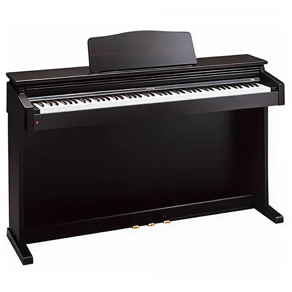 Music City – Tổng Kho Piano, Guitar, Organ | Dịch Vụ Giáo Dục Âm Nhạc