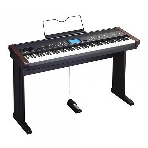 Music City – Tổng Kho Piano, Guitar, Organ | Dịch Vụ Giáo Dục Âm Nhạc