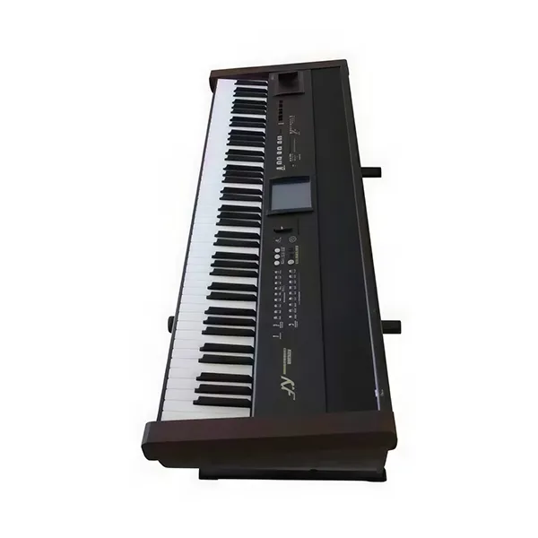 Music City – Tổng Kho Piano, Guitar, Organ | Dịch Vụ Giáo Dục Âm Nhạc