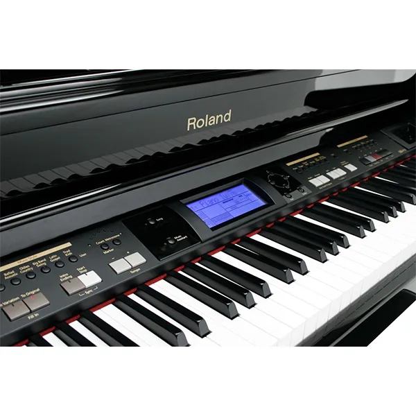 Music City – Tổng Kho Piano, Guitar, Organ | Dịch Vụ Giáo Dục Âm Nhạc