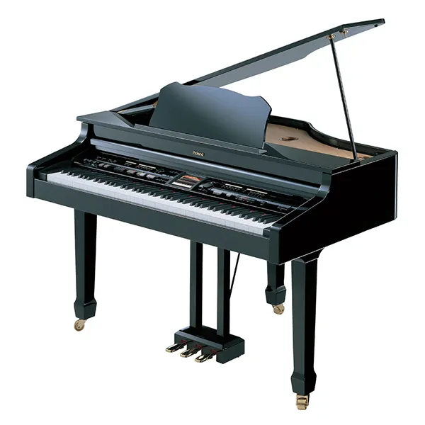 Music City – Tổng Kho Piano, Guitar, Organ | Dịch Vụ Giáo Dục Âm Nhạc