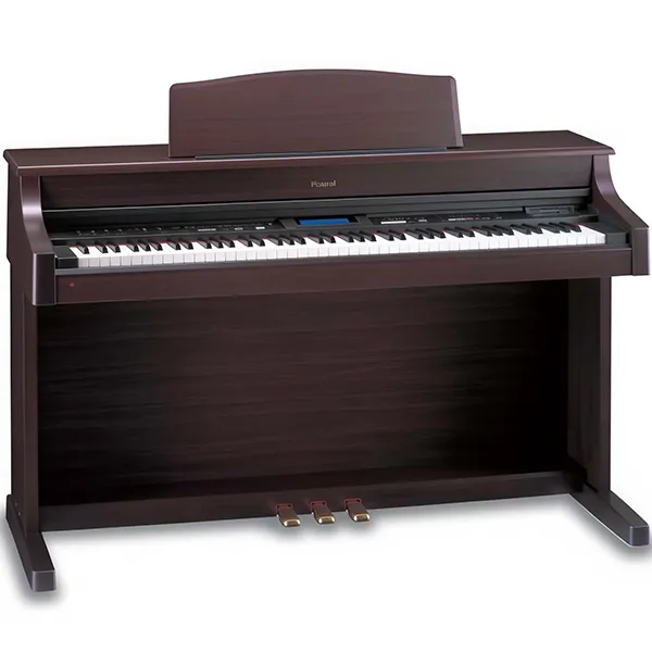Music City – Tổng Kho Piano, Guitar, Organ | Dịch Vụ Giáo Dục Âm Nhạc