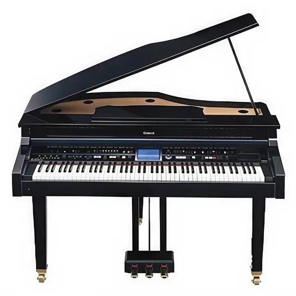 Music City – Tổng Kho Piano, Guitar, Organ | Dịch Vụ Giáo Dục Âm Nhạc