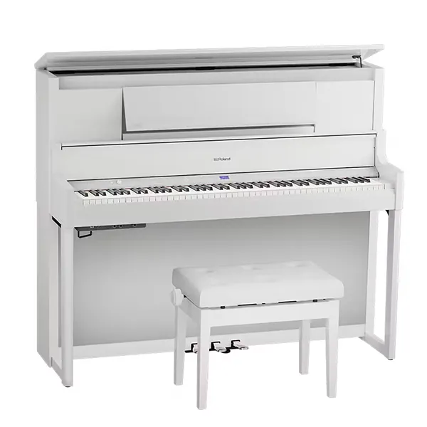Music City – Tổng Kho Piano, Guitar, Organ | Dịch Vụ Giáo Dục Âm Nhạc