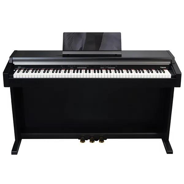 Music City – Tổng Kho Piano, Guitar, Organ | Dịch Vụ Giáo Dục Âm Nhạc