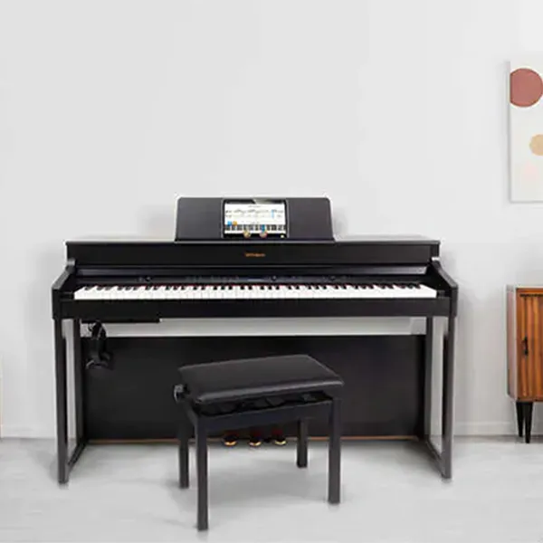 Music City – Tổng Kho Piano, Guitar, Organ | Dịch Vụ Giáo Dục Âm Nhạc