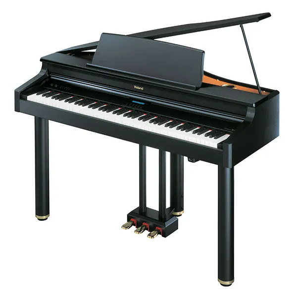 Music City – Tổng Kho Piano, Guitar, Organ | Dịch Vụ Giáo Dục Âm Nhạc