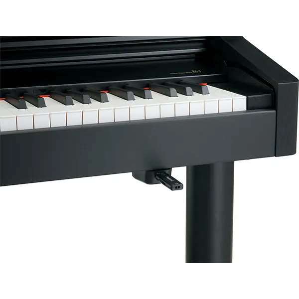 Music City – Tổng Kho Piano, Guitar, Organ | Dịch Vụ Giáo Dục Âm Nhạc
