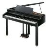 dan-piano-roland-rg1f-musiccity