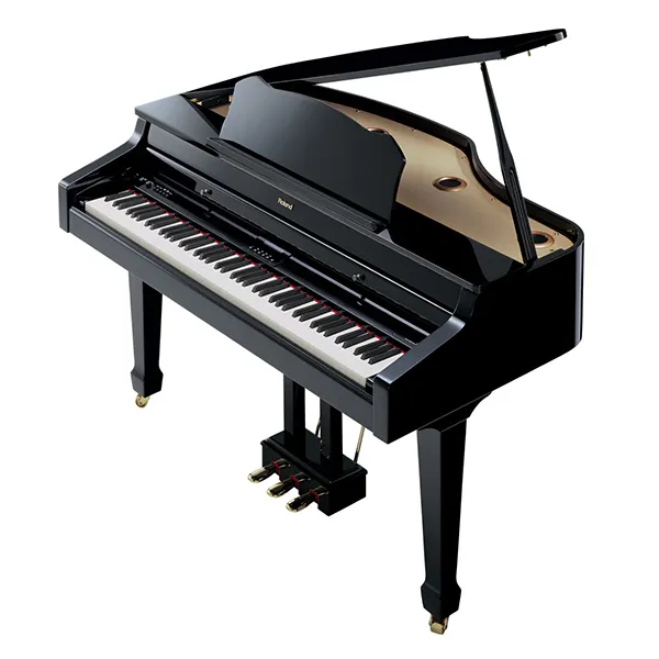 Music City – Tổng Kho Piano, Guitar, Organ | Dịch Vụ Giáo Dục Âm Nhạc