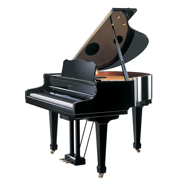 dan-piano-roland-rg7-pe-musiccity