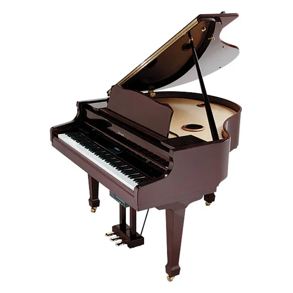 dan-piano-roland-rg7-pe-musiccity