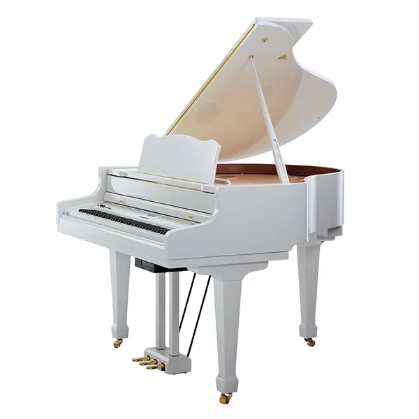 Music City – Tổng Kho Piano, Guitar, Organ | Dịch Vụ Giáo Dục Âm Nhạc