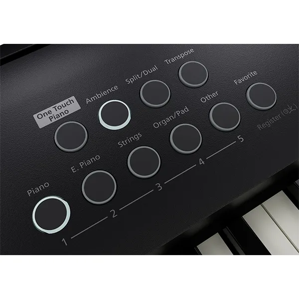 Music City – Tổng Kho Piano, Guitar, Organ | Dịch Vụ Giáo Dục Âm Nhạc