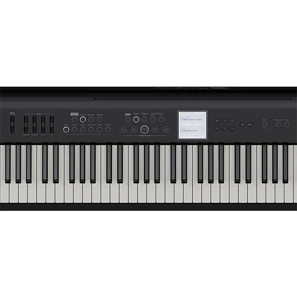 Music City – Tổng Kho Piano, Guitar, Organ | Dịch Vụ Giáo Dục Âm Nhạc