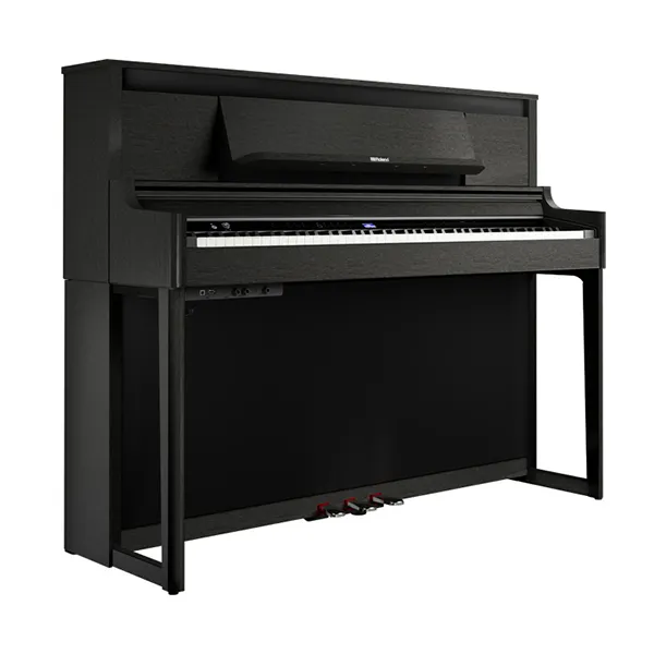 Music City – Tổng Kho Piano, Guitar, Organ | Dịch Vụ Giáo Dục Âm Nhạc
