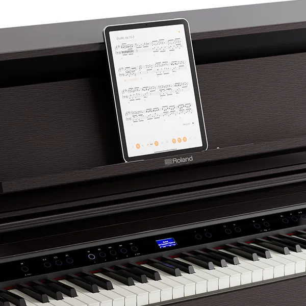 Music City – Tổng Kho Piano, Guitar, Organ | Dịch Vụ Giáo Dục Âm Nhạc