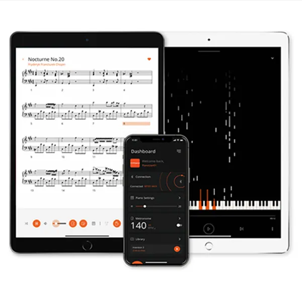Music City – Tổng Kho Piano, Guitar, Organ | Dịch Vụ Giáo Dục Âm Nhạc