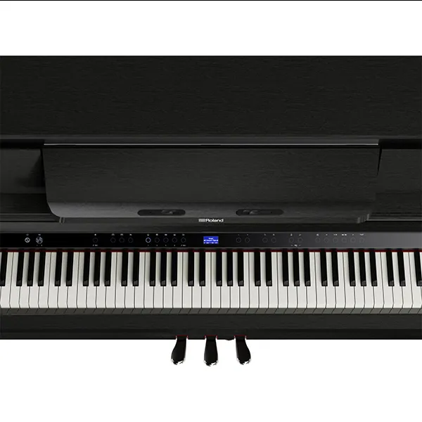 Music City – Tổng Kho Piano, Guitar, Organ | Dịch Vụ Giáo Dục Âm Nhạc