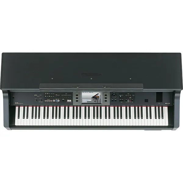 Music City – Tổng Kho Piano, Guitar, Organ | Dịch Vụ Giáo Dục Âm Nhạc
