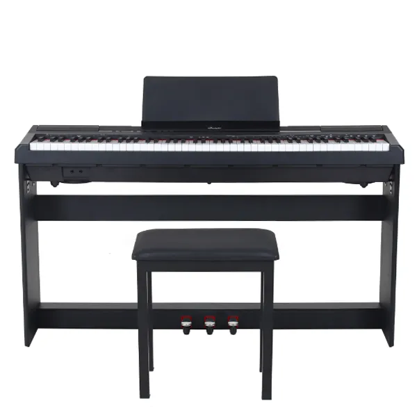 Music City – Tổng Kho Piano, Guitar, Organ | Dịch Vụ Giáo Dục Âm Nhạc