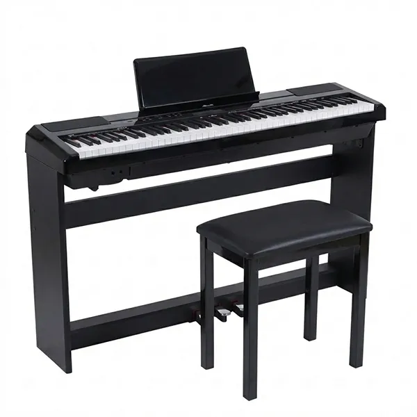 Music City – Tổng Kho Piano, Guitar, Organ | Dịch Vụ Giáo Dục Âm Nhạc