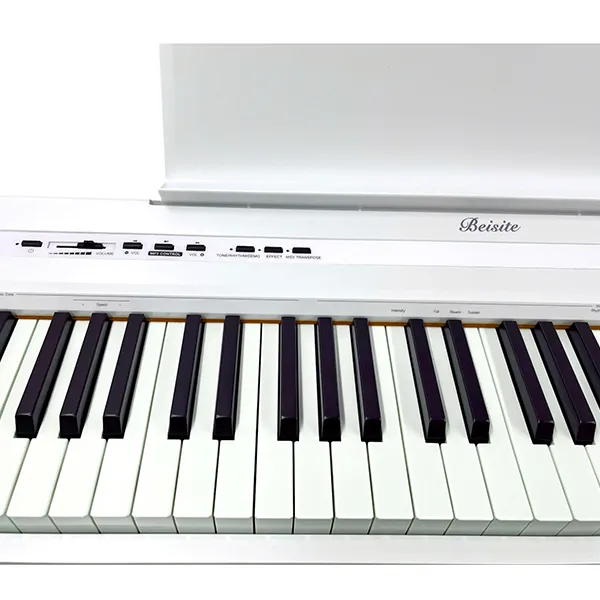 Music City – Tổng Kho Piano, Guitar, Organ | Dịch Vụ Giáo Dục Âm Nhạc