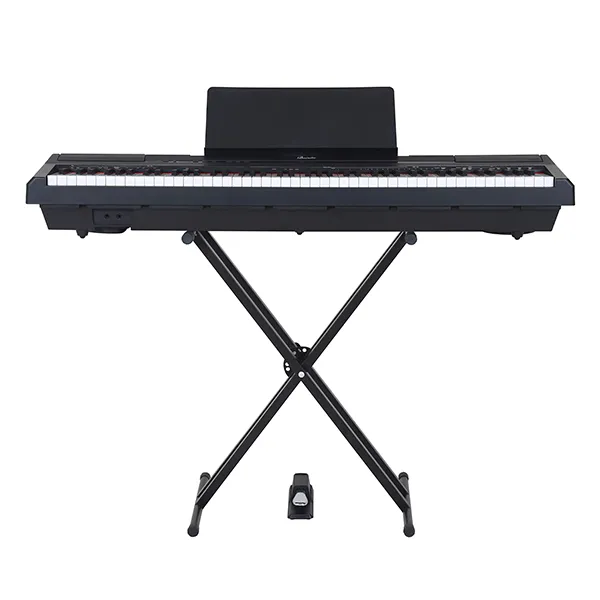 Music City – Tổng Kho Piano, Guitar, Organ | Dịch Vụ Giáo Dục Âm Nhạc