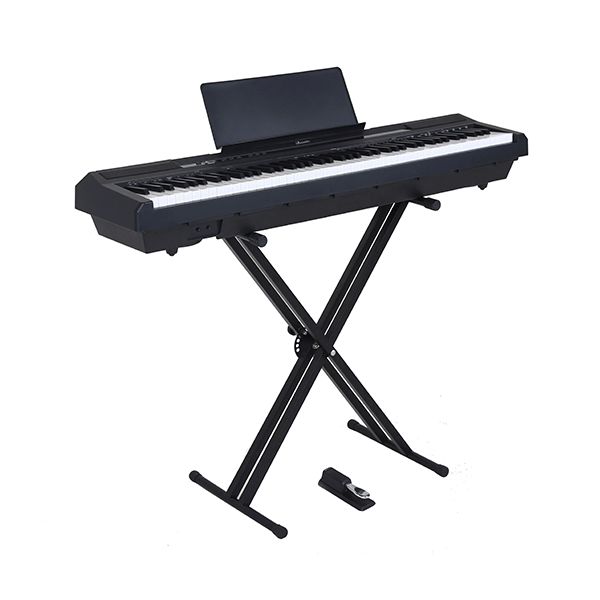 Music City – Tổng Kho Piano, Guitar, Organ | Dịch Vụ Giáo Dục Âm Nhạc